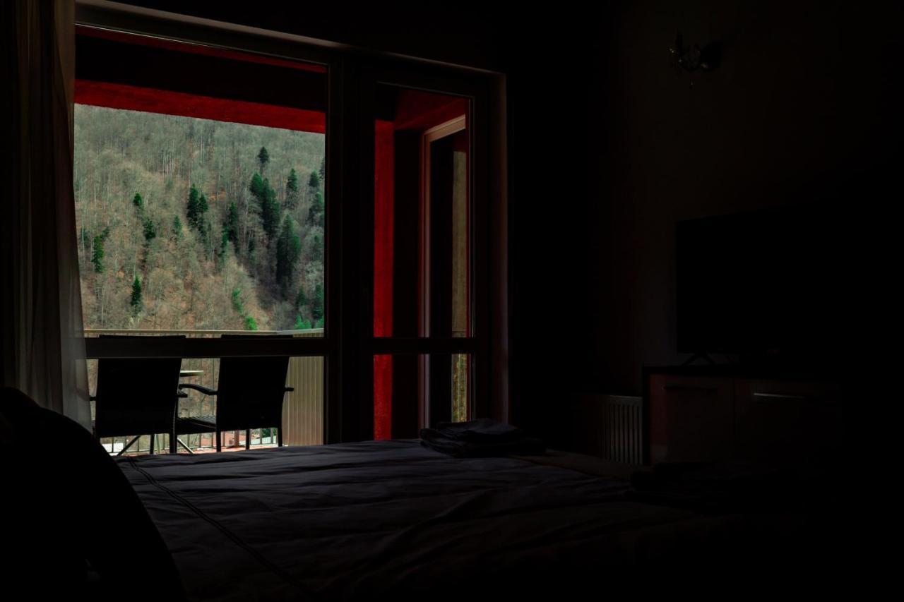 Elite Apartments Sinaia Zewnętrze zdjęcie
