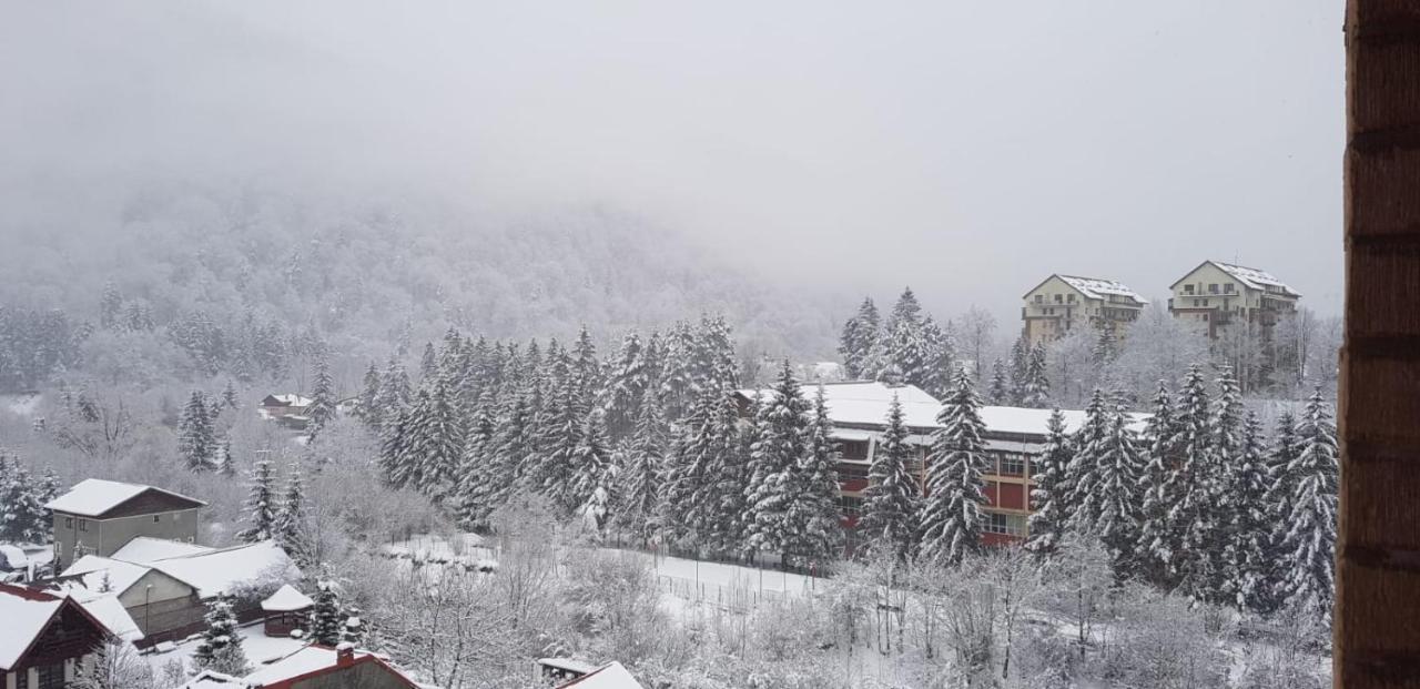 Elite Apartments Sinaia Zewnętrze zdjęcie