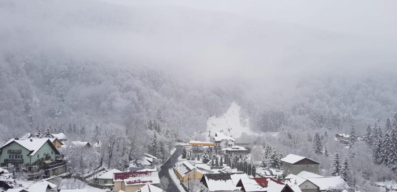 Elite Apartments Sinaia Zewnętrze zdjęcie